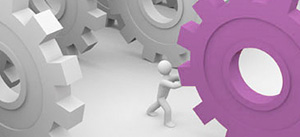 Niche Market Products Trading
